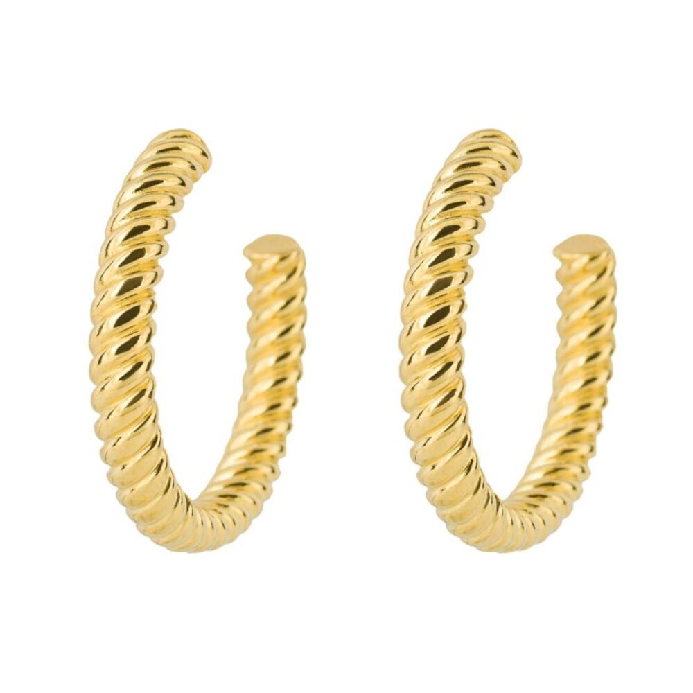 Fiorelli Silver & Yellow Gold Plated Rope Pattern Hoop Earrings